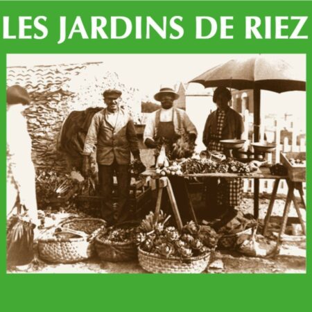 En vente sur place : Méli-mélo, Herbes aromatiques, Radis (apportez vos contenants)